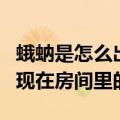 蛾蚋是怎么出现在房间里的（蛾蚋为什么会出现在房间里的）