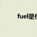 fuel是什么意思中文（fuel翻译）