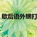 歇后语外甥打灯笼（歇后语外甥打灯笼解释）