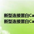 新型连接蛋白Card9调节肾癌NF-κB的分子机制研究（关于新型连接蛋白Card9调节肾癌NF-κB的分子机制研究简介）