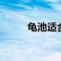 龟池适合栽什么植物（你知道吗）