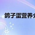 鸽子蛋营养介绍（吃鸽子蛋的好处是什么）