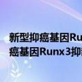 新型抑癌基因Runx3抑制胃癌的分子机制研究（关于新型抑癌基因Runx3抑制胃癌的分子机制研究简介）