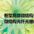 新型局部微结构光纤光栅的理论与应用研究（关于新型局部微结构光纤光栅的理论与应用研究简介）