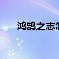 鸿鹄之志怎么读（鸿鹄之志读音介绍）