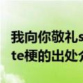 我向你敬礼salute梗的出处（我向你敬礼salute梗的出处介绍）