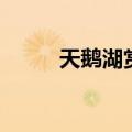 天鹅湖赏析（它有什么精彩之处）