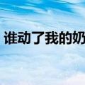 谁动了我的奶酪简介（该书讲述了什么故事）