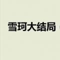 雪珂大结局（电视剧雪珂的大结局是什么）