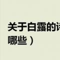 关于白露的诗句古诗（关于白露的诗句古诗有哪些）