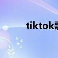 tiktok歌词（tiktok歌词是什么）