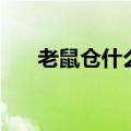 老鼠仓什么意思（老鼠仓的过程长吗）