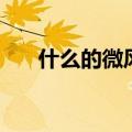 什么的微风填词语（什么的微风填空）