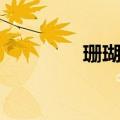珊瑚海歌词（完整版歌词）