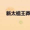 新太祖王莽传（关于新太祖王莽传简介）