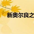 新奥尔良之光（关于新奥尔良之光简介）