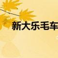 新大乐毛车站（关于新大乐毛车站简介）