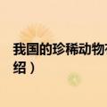 我国的珍稀动物有哪些及特点（我国的珍稀动物及其特点介绍）