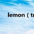 lemon（tree 歌词 中文歌词是怎样的）