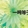一吨等于多少斤（一吨是多少斤）