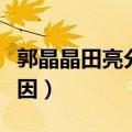 郭晶晶田亮分手原因（关于郭晶晶田亮分手原因）