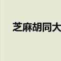 芝麻胡同大结局（该剧讲述了什么故事）