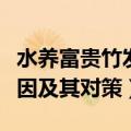 水养富贵竹发黄怎么办（富贵竹叶子发黄的原因及其对策）