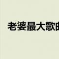 老婆最大歌曲歌词（老婆最大歌曲歌简介）
