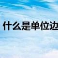 什么是单位边际贡献（单位边际贡献的解释）
