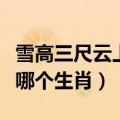 雪高三尺云上天是意思（雪高三尺云上天是指哪个生肖）
