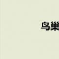 鸟巢多少平米（鸟巢简介）