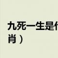 九死一生是什么生肖（九死一生指的是什么生肖）