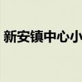新安镇中心小学（关于新安镇中心小学简介）