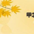 甲怎么组词（甲的意思）