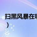 扫黑风暴在哪可以看（扫黑风暴什么时候播出）