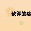 缺钾的症状（缺钾有以下这些症状）