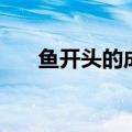 鱼开头的成语（哪些成语是鱼开头的）