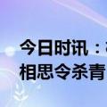 今日时讯：杨颖宋威龙新剧杀青 杨颖宋威龙相思令杀青