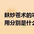 麸炒苍术的功效与作用（麸炒苍术的功效与作用分别是什么）