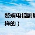赘婿电视剧剧情介绍（赘婿电视剧剧情是怎么样的）