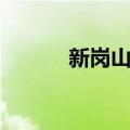 新岗山镇（关于新岗山镇简介）