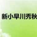 新小早川秀秋传（关于新小早川秀秋传简介）