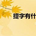 提字有什么组词（汉字提怎么组词）