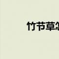 竹节草怎么养（竹节草如何养殖）