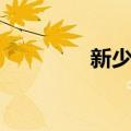 新少年（关于新少年简介）