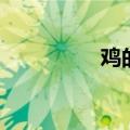 鸡的组词（鸡怎么组词）