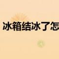 冰箱结冰了怎么办（来看看具体的解决方法）