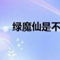 绿魔仙是不是美琪姐姐（美琪人物介绍）