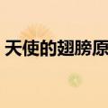 天使的翅膀原唱歌词（歌曲天使的翅膀歌词）