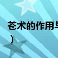 苍术的作用与功效（苍术的作用与功效是什么）